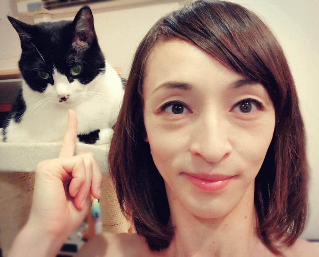 室伏由佳のインスタグラム：「短くした💇🏻 #さっぱり #すっきり #猫にはわからない #オレオくん #🐈 #夏 #ヘアー #ヘアカット #hairstyles #haircut #hair #💇🏻 #cat #catsofinstagram #catlove #catstagram」