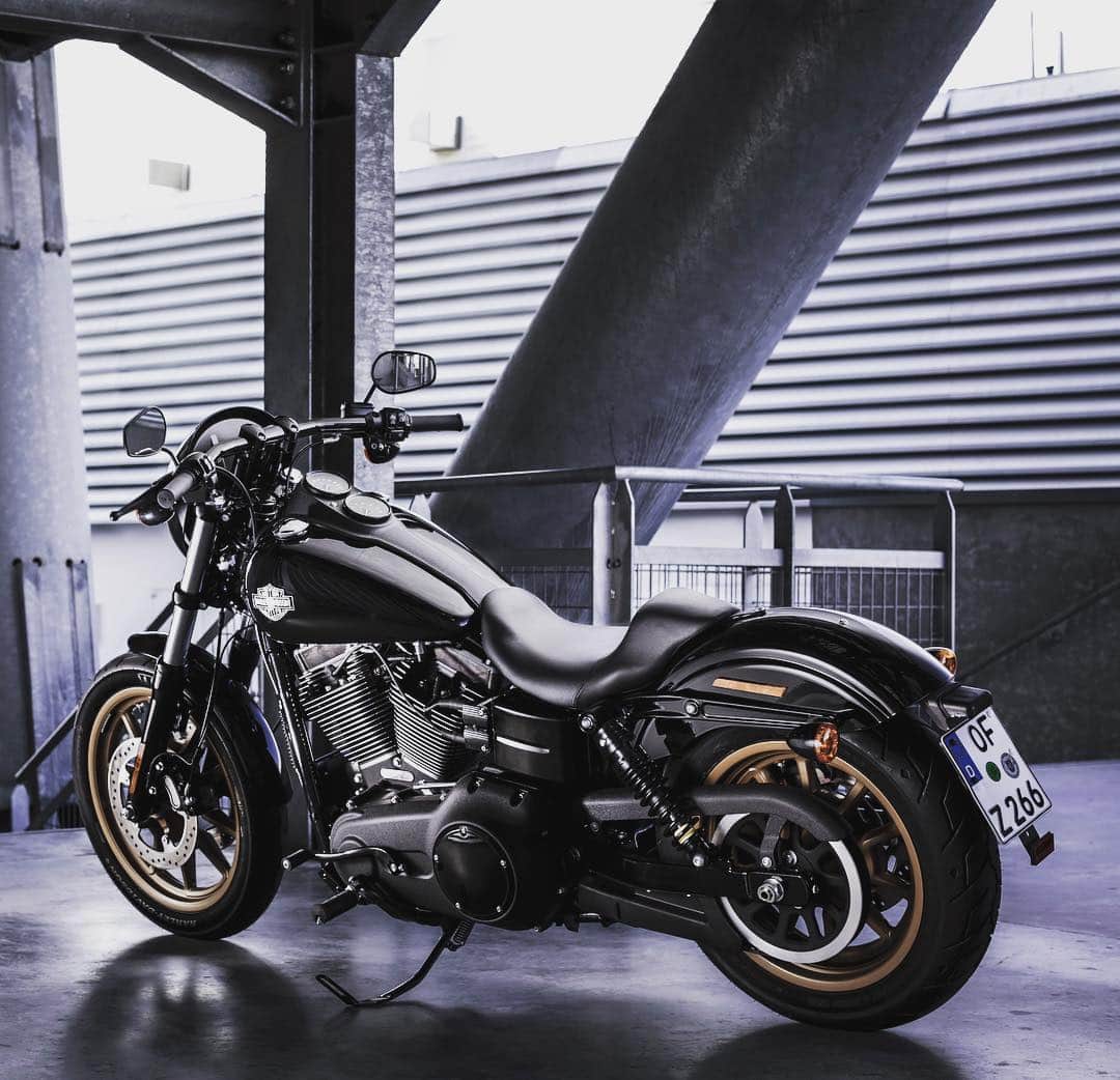 のインスタグラム：「解き放ってみろ。#ハーレー #harley #ハーレーダビッドソン #harleydavidson #バイク #bike #オートバイ #motorcycle #ローライダーs #lowriders #fxdls #ダイナ #dyna #アーバン #urban #2017 #自由 #freedom」