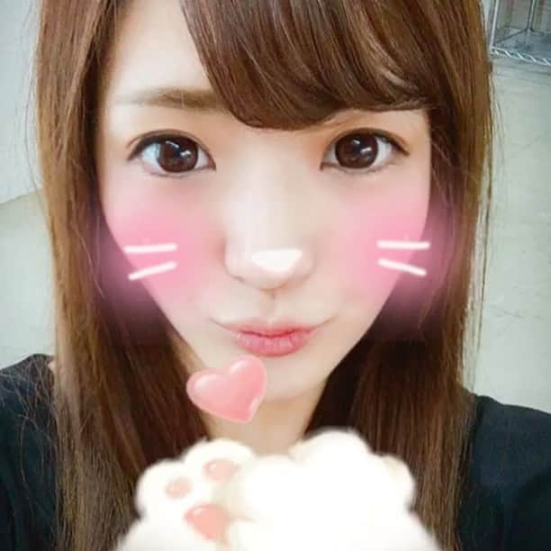 青山はなのインスタグラム：「#猫 #暑い」