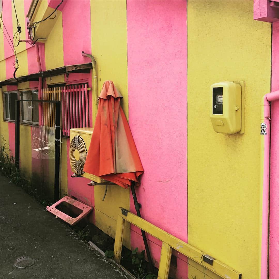 Jason G. Sturgillさんのインスタグラム写真 - (Jason G. SturgillInstagram)「#Kurashiki color vibes.」7月19日 5時16分 - jgspdx