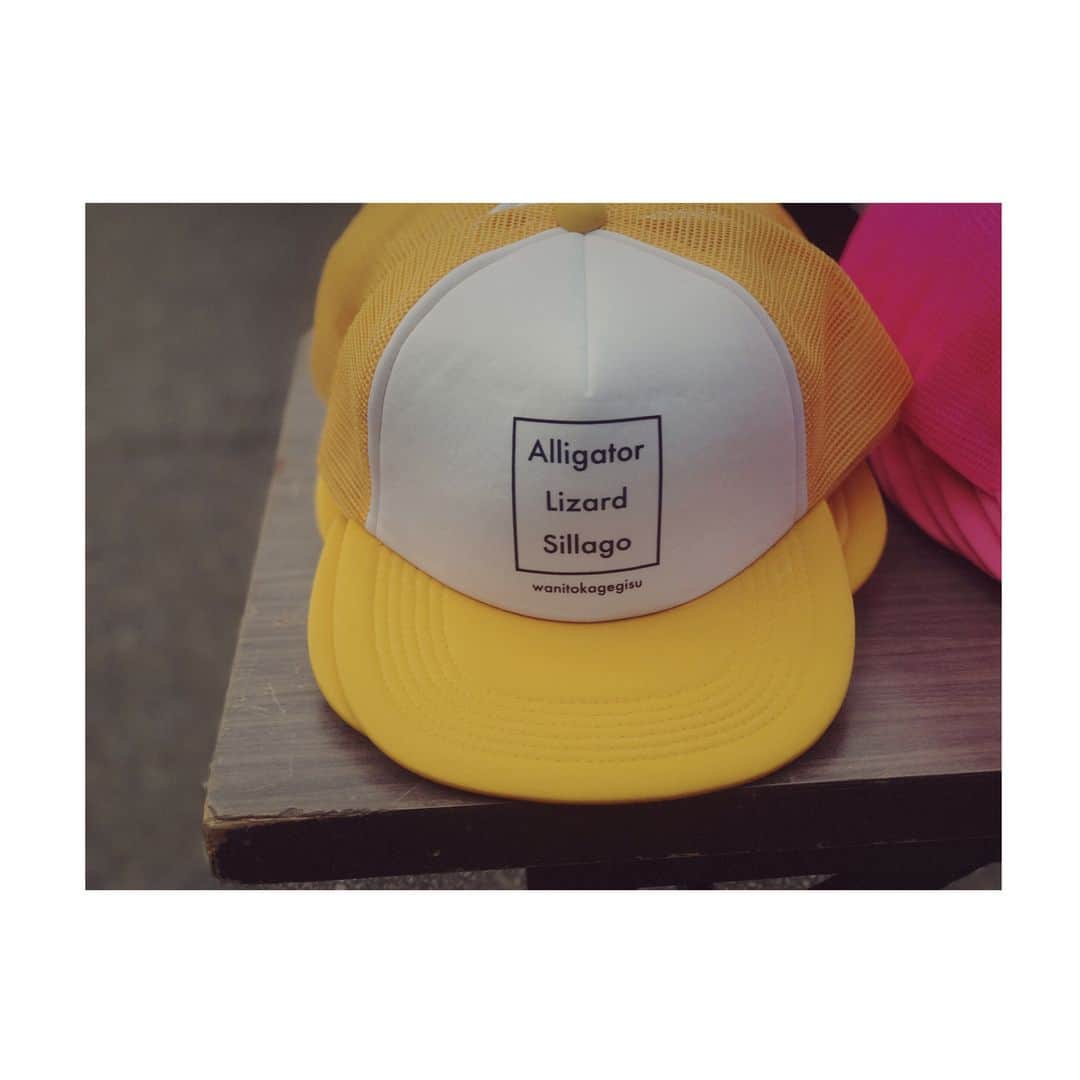 本田翼さんのインスタグラム写真 - (本田翼Instagram)「👀✨ ありぺいさんが わにとかげぎす帽子を つくってきてくれました。 わにとかげぎすチームみんなで 大切に大切にかぶります🤤 #わにとかげぎす  #どの色もかわいい #ありがとうございます」7月18日 21時22分 - tsubasa_0627official