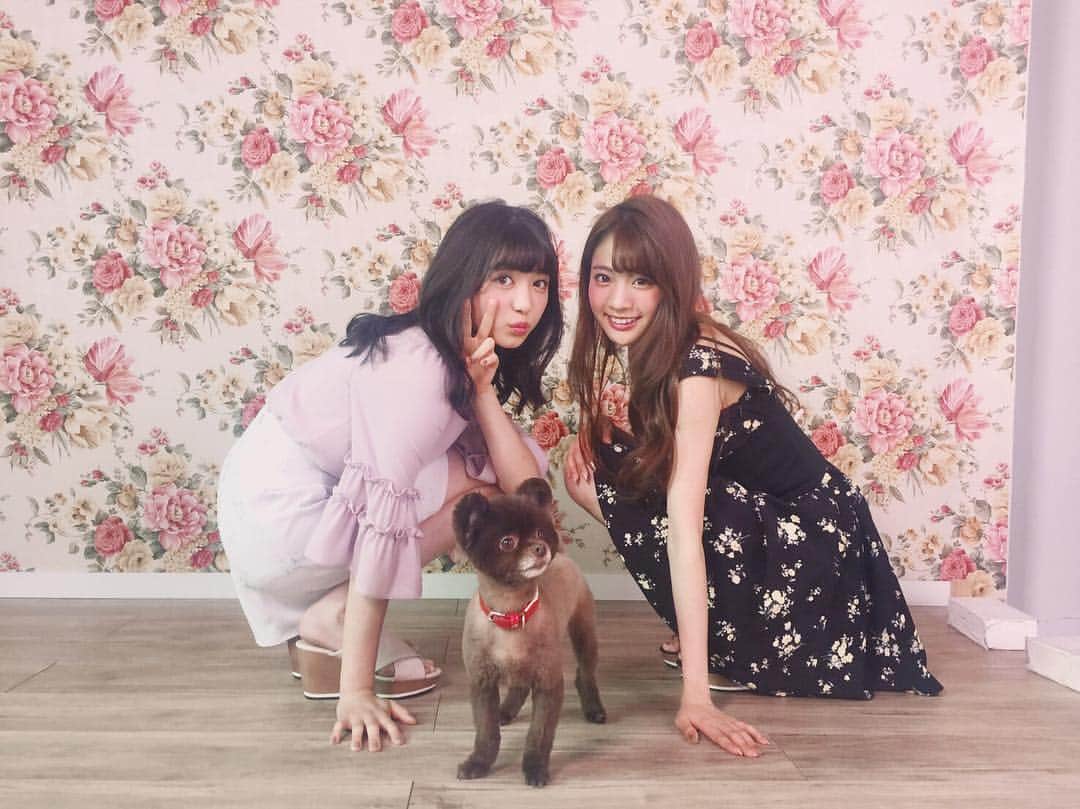 志田友美（ゆうみん）のインスタグラム：「evelyn 2017 A/Wの撮影👗💕 ㅤㅤㅤㅤㅤㅤㅤㅤㅤㅤㅤㅤㅤ 久々ひっとと一緒だったの😽癒された相変わらず天使すぎたよ😇💕 ㅤㅤㅤㅤㅤㅤㅤㅤㅤㅤㅤㅤㅤ ひっととわんちゃんと3SHOT🤣❤️ ㅤㅤㅤㅤㅤㅤㅤㅤㅤㅤㅤㅤㅤ #撮影 #天使 #新井ひとみ #癒し  #志田サマー新井サマー #evelyn #fashion #feminine #shot #aw2017 #cute」