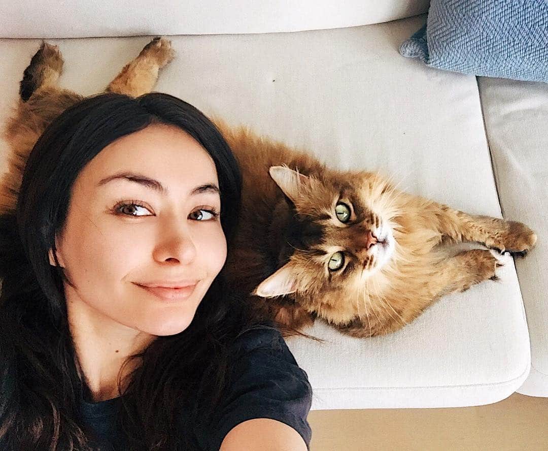 シャウラさんのインスタグラム写真 - (シャウラInstagram)「Found myself a cat pillow👌🏻 @juliet_meows_in_tokyo  猫まくら👌🏻 #tokyo #japan #home #cat #somalicat #catsofinstagram #selfie」7月19日 12時07分 - shaula_vogue