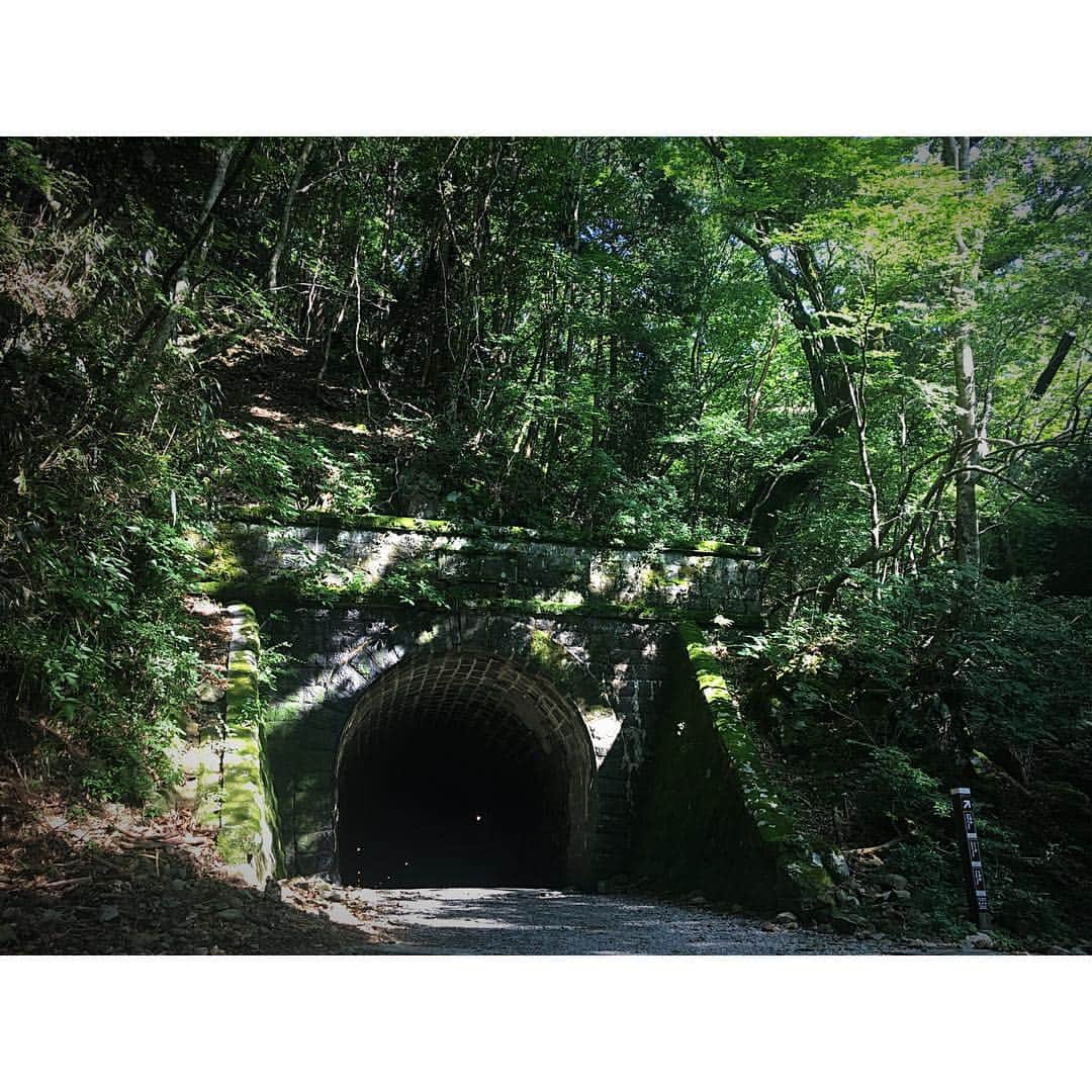 青木菜摘のインスタグラム：「#天城トンネル #伊豆 #静岡 #landscape  #下田」