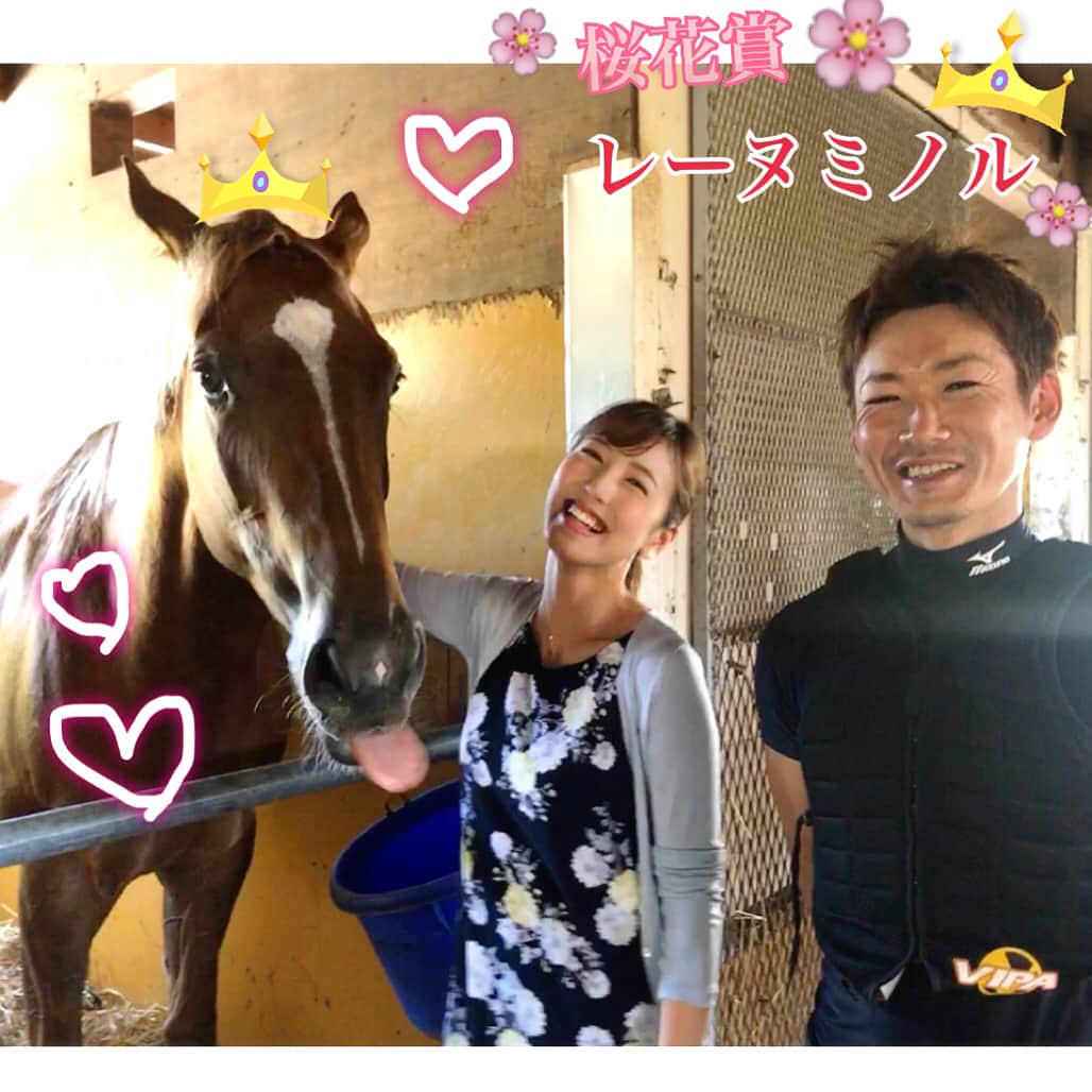 小澤陽子さんのインスタグラム写真 - (小澤陽子Instagram)「ぺろんっ👅🐴💕笑 かわいい、、😭😭✨ ３歳の女の子です❤️❤️ 2017年 #桜花賞馬🌸 #フジワラファーム #レーヌミノル」7月20日 15時42分 - yoko.ozawa729
