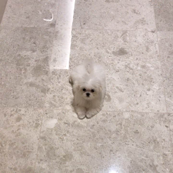 イトゥク のインスタグラム
