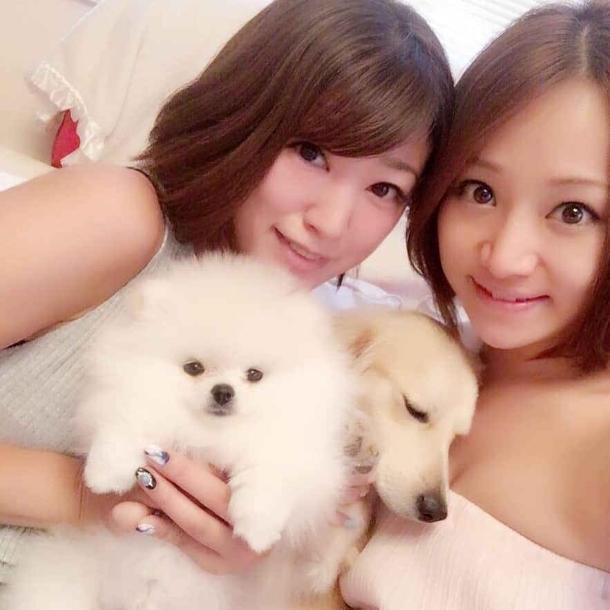 のインスタグラム：「昨日はゆりっちの新しい家族 おもちに会いに行ったよ🤗 可愛すぎる💕もふもふ💕 おもちとにょろのじゃれ合いはずっとみてられる😍😍 ゆりっちとも久しぶりにゆっくり話せて楽しかったぁ😘💕 #ポメラニアン #おもち #子犬 #癒し#可愛い #❤️」