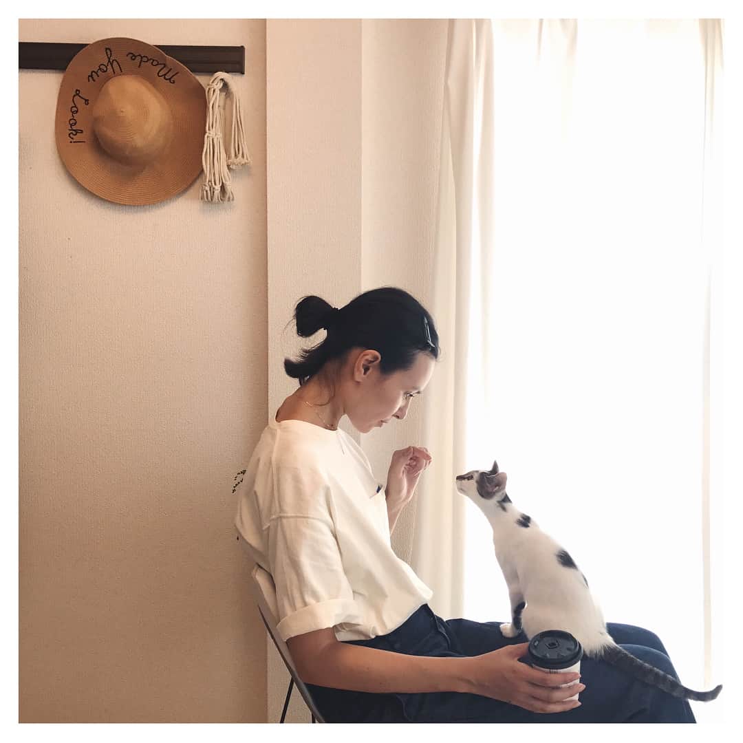 田沢美亜さんのインスタグラム写真 - (田沢美亜Instagram)「カメラマンジョディーの子猫poppy💕が可愛すぎた💕撮影中べったり💕 @poppythekitkat  @jodyasanostudio @mihoko_f @yuwipiiten  #4monthskitty #tokyolife」7月21日 23時05分 - miatazawa