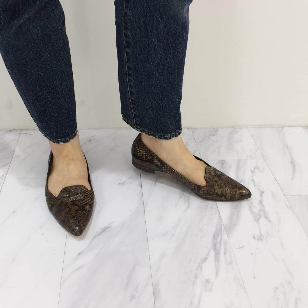 ファビオ ルスコーニのグルメインスタ