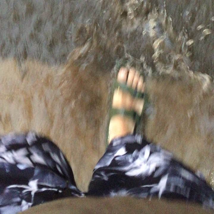 のインスタグラム：「雨すごいけど水着で来たから下半身無敵」