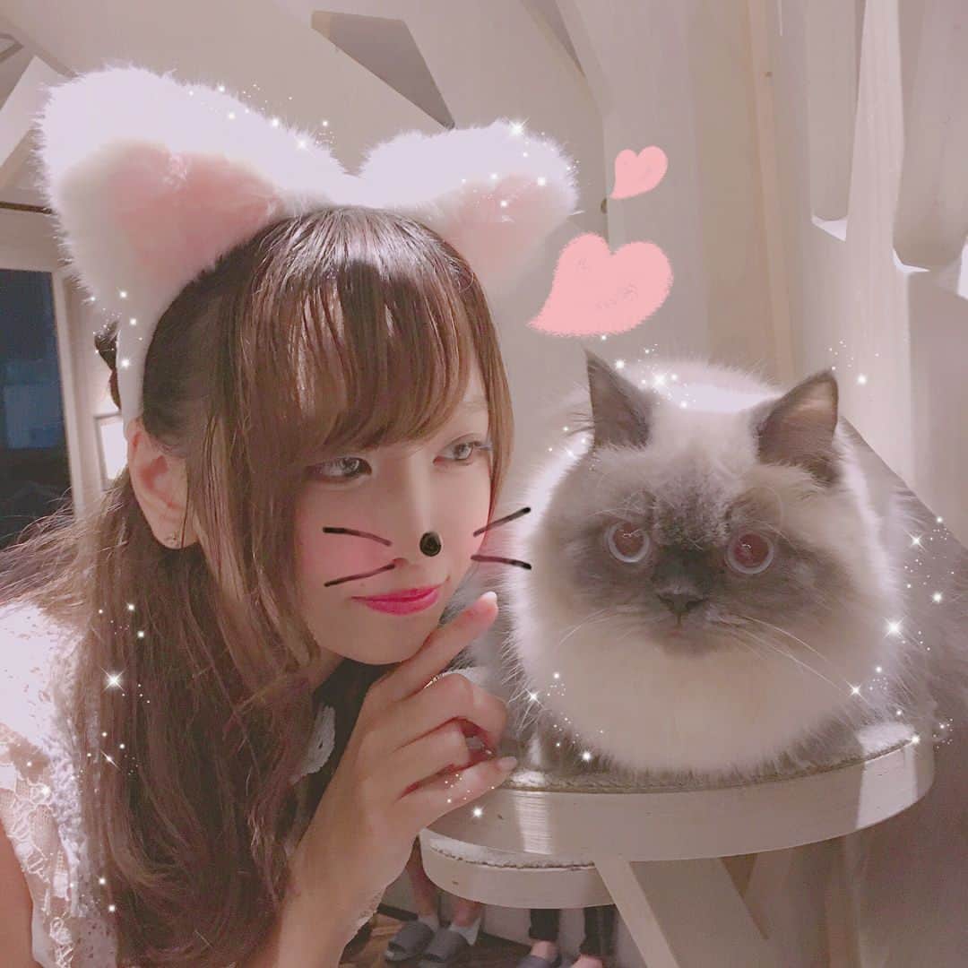 さきぼんのグルメインスタ