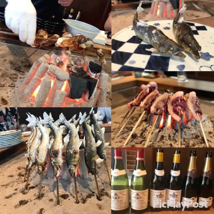 大井智保子のグルメインスタ