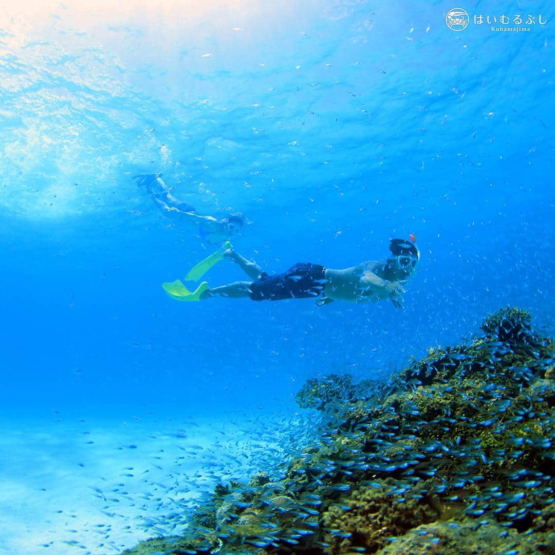 HAIMURUBUSHI はいむるぶしさんのインスタグラム写真 - (HAIMURUBUSHI はいむるぶしInstagram)「世界有数の透明度を誇るサンゴ礁の海 。八重山の島々を訪れる人たちの心を魅了する美ら海が広がっています。#沖縄 #小浜島 #サンゴ礁 #海 #スノーケル #はいむるぶし #okinawa #yaeyama #kohamajima #photogenic #photo #smoke #coral #blueseasea #resorts #haimurubushi @minefuyu_yamashita.okinawa」8月17日 13時46分 - haimurubushi_resorts