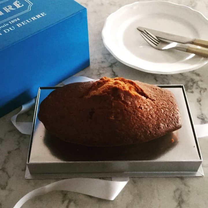志摩有子さんのインスタグラム写真 - (志摩有子Instagram)「撮影の差し入れで頂いたエシレのブルーのボックスを開けたらそこにはその幅20㎝はあろうかという巨大なマドレーヌが。切り分けて食べるマドレーヌとのこと。エシレならではのバターの香り豊かな一品にみんな大喜び。 #エシレ #マドレーヌアパルタジエ #切り分けるマドレーヌ #差し入れ #ごちそうさまでした」8月18日 17時37分 - ariko418