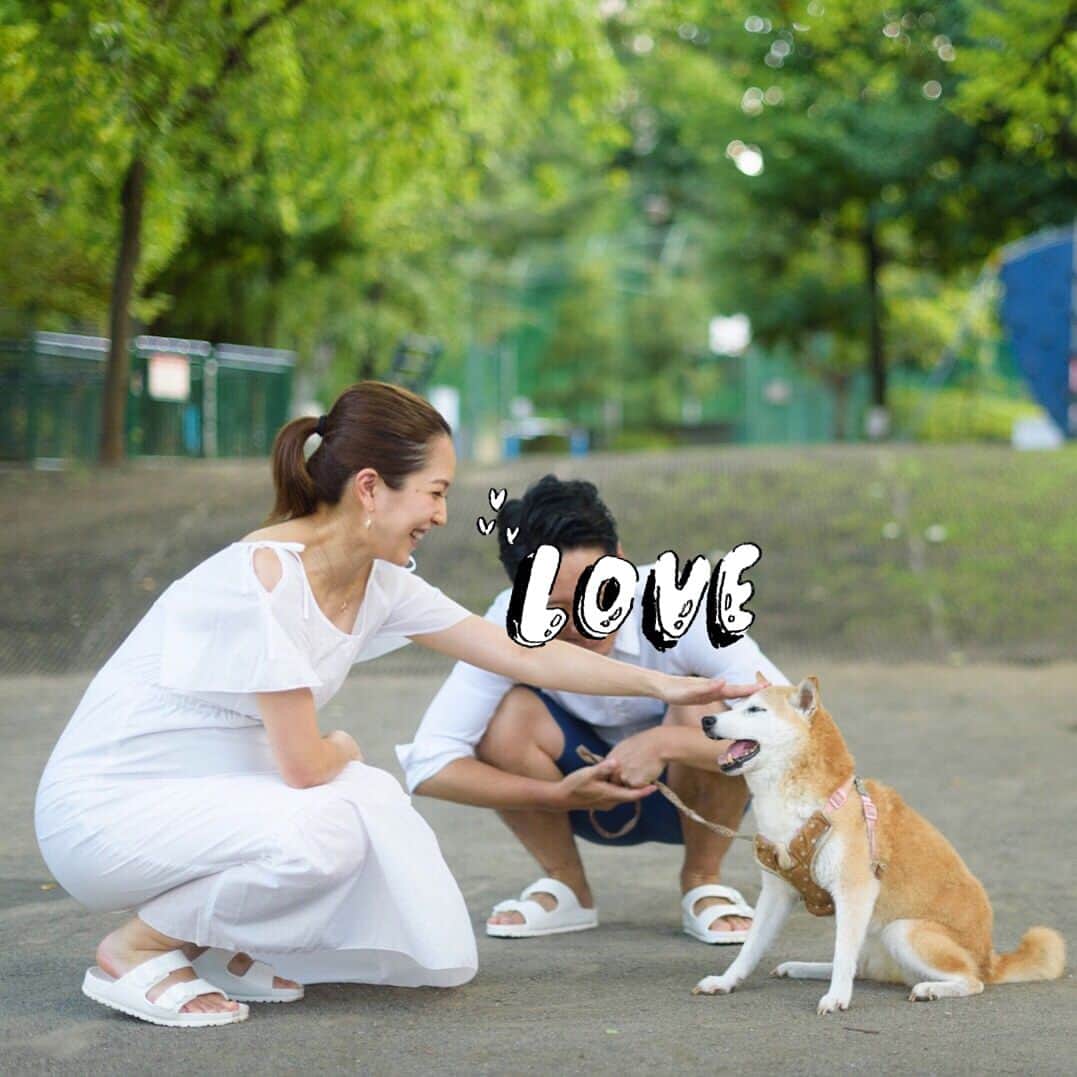 Remiさんのインスタグラム写真 - (RemiInstagram)「can't stop loving our old lady😂 元気なおばあちゃん🐶💕 . . . #モモ @momocky #家族写真 #柴犬 #おばあちゃん犬 #familyphoto #shibainu #shiba #dog」8月18日 19時19分 - remi_912