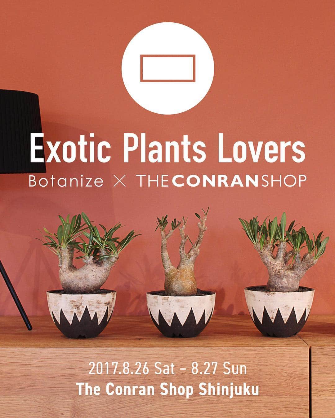 ザ･コンランショップさんのインスタグラム写真 - (ザ･コンランショップInstagram)「Exotic Plants Lovers Botanize x The Conran Shop  新宿本店にて、個性豊かな塊根植物（コーデックス）や多肉植物などのエキゾチックプランツで知られる「Botanize（ボタナイズ）」のポップアップを開催します。Botanizeの特徴的な鉢と、塊根植物がもつ独特な形状と質感、ザ・コンランショップならではのエクレクティックなスタイリングがコラボレートした、2日間だけの特別なイベントです。期間中は、大人気のInvisible Ink、NEOSHIHOの鉢をはじめ、Botanizeならではの秀逸な植物が揃います。また、anea design代表、横町健氏も直接店頭にてご案内してくださいます。ぜひこの機会にエキゾチックな植物に触れてみてください。  開催日時：8月26日（土）、27日（日） 開催店舗：ザ・コンランショップ 新宿本店 ---------------------------------------------------- ＊ invisible ink、neoshihoのアーティスト作品に関して、「鉢単品」と「鉢+植物」のどちらも、1アーティストにつきお一人さま1点までの購入、最大２個までとさせていただきます。 ＊混雑状況により、入場制限を行う可能性がございます。詳しくは店舗スタッフまでお問い合わせください。  #TheConranShop #conranshop #コンランショップ  #exotic_plants_lovers🌱  #caudex  #base_anea_botanize  @base_anea_botanize  @aneaken」8月18日 20時01分 - theconranshop.japan