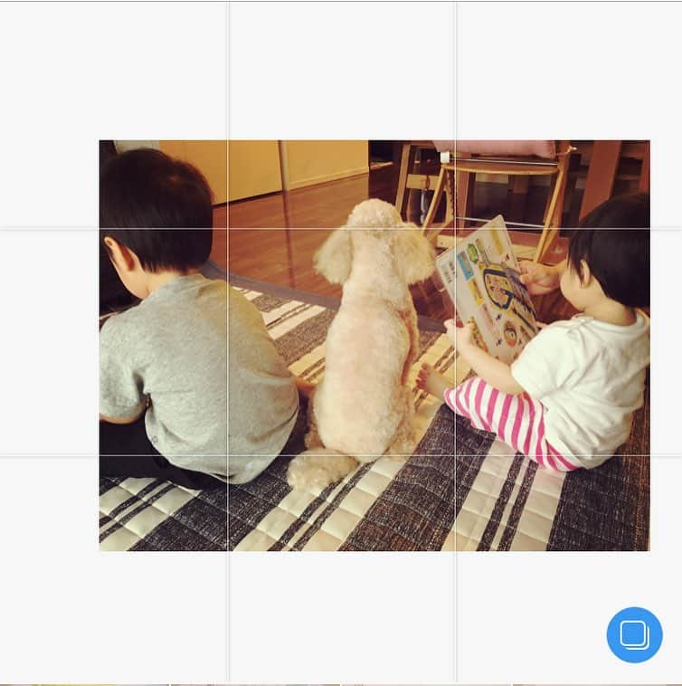田中理恵さんのインスタグラム写真 - (田中理恵Instagram)「今日も、各自お仕事頑張りましょう‼︎ やることたくさん‼︎ 子供も犬も各自やることあるのね🤣😄❤️」8月19日 8時59分 - riiiiiie611