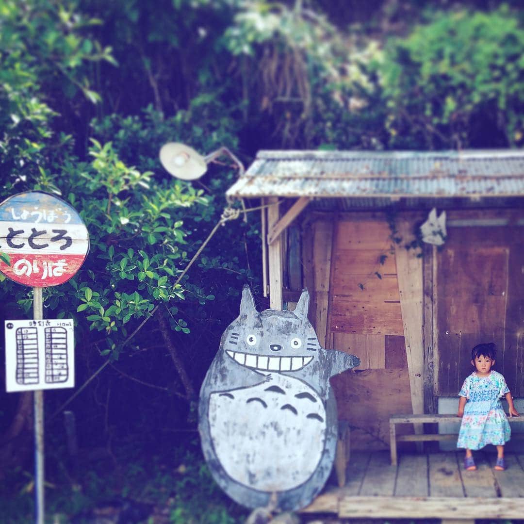 森本千絵さんのインスタグラム写真 - (森本千絵Instagram)「#amazing #amami #totoro #busstop #koniya #anime #japan #iland #fantastic  奄美大島の家族の敷地裏にトトロのバス停があった！」8月19日 11時31分 - chiemorimoto_goen