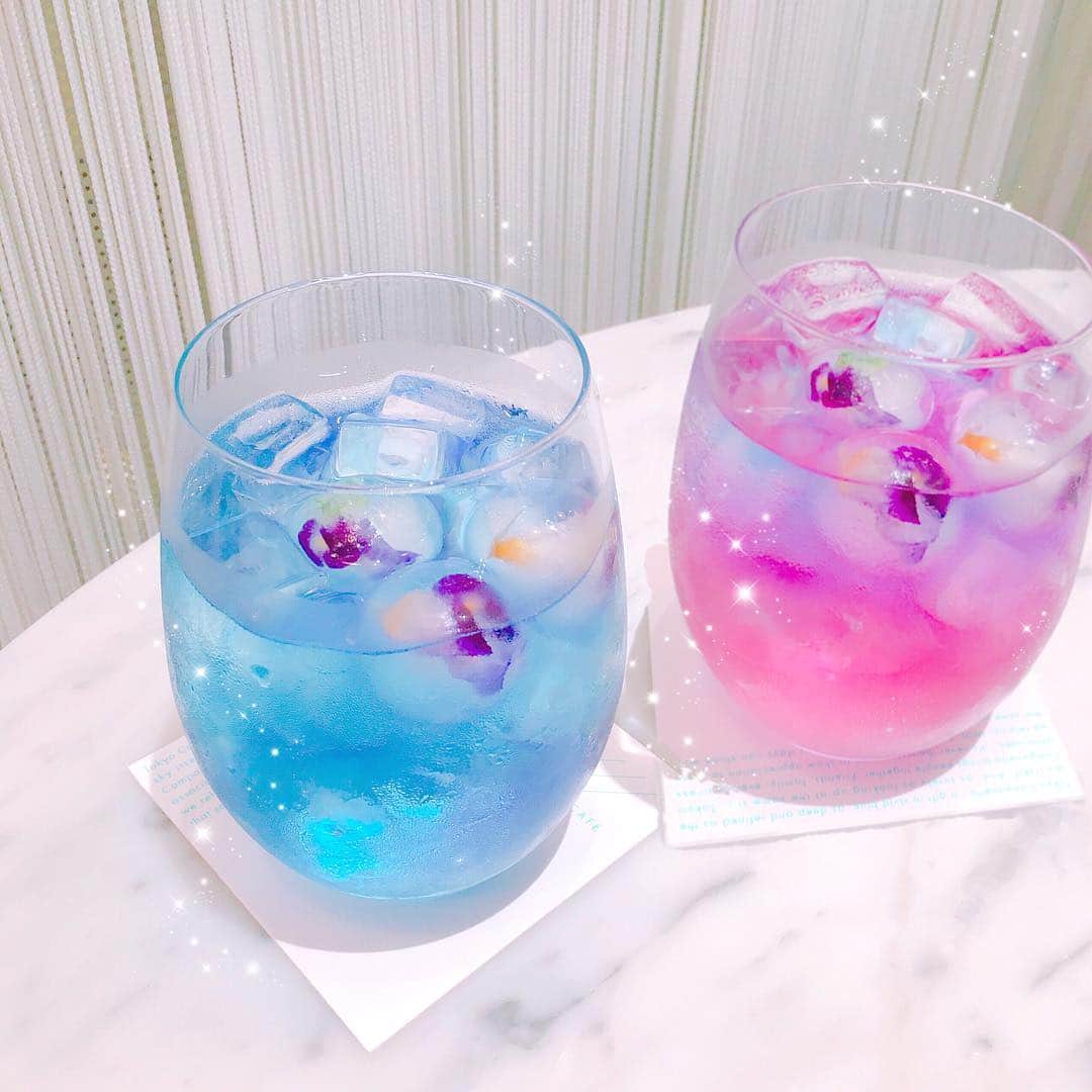 ひこ乃のグルメインスタ