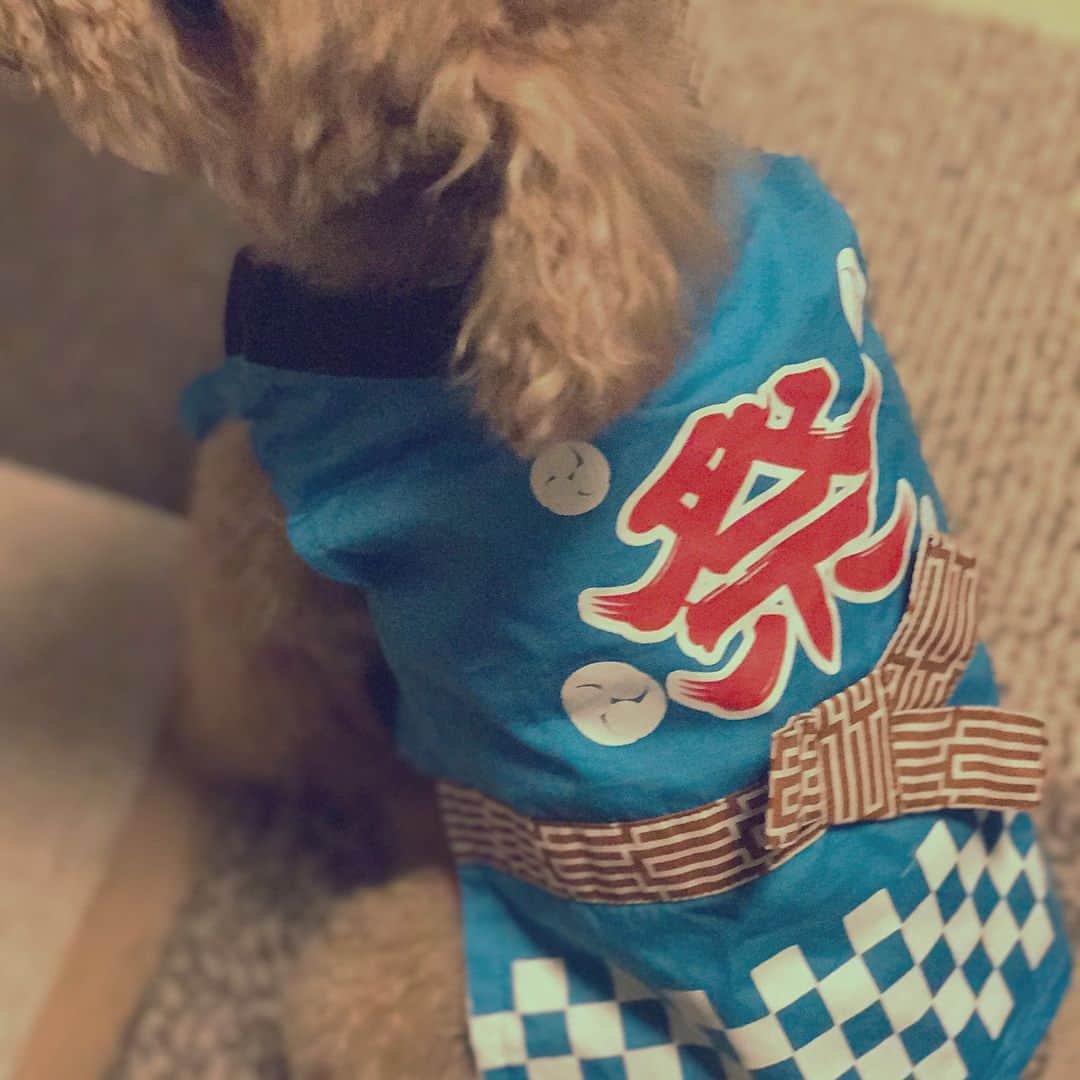 希志あいののインスタグラム：「わっしょい✨🎇🙌🎇✨」