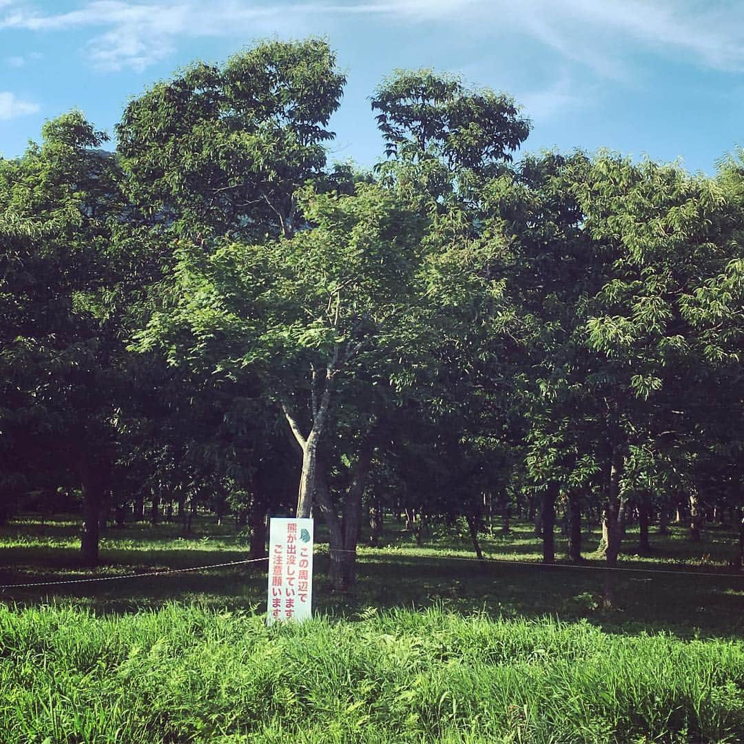 藤岡幹大のインスタグラム：「「(ฅ¯ω¯ฅ )良い天気だみゃー」って散歩してたら怖い看板🐻」