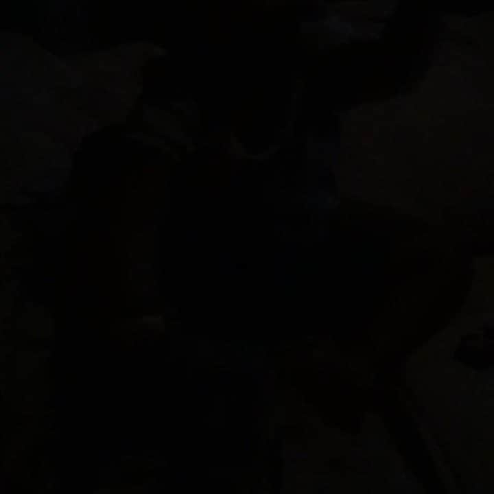 やまもとりえのインスタグラム：「昨夜、ゾンビのように這い上がってきては低い声で「かぞえてんぐで遊ぼう」と言ってきた息子の音声です」