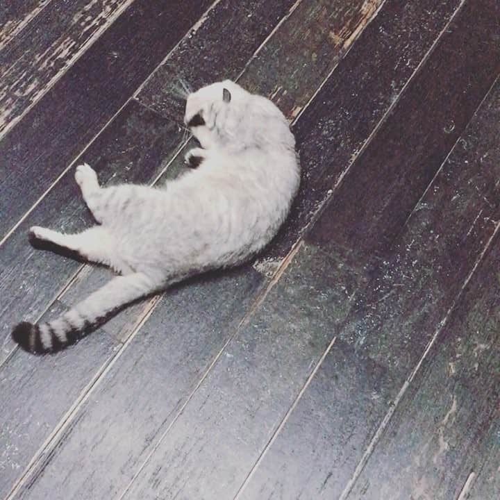 Roku Rokuのインスタグラム：「Hey ya'll 🤘🏽❤️」