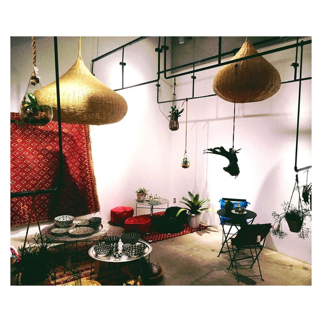 森下紀子のグルメインスタ