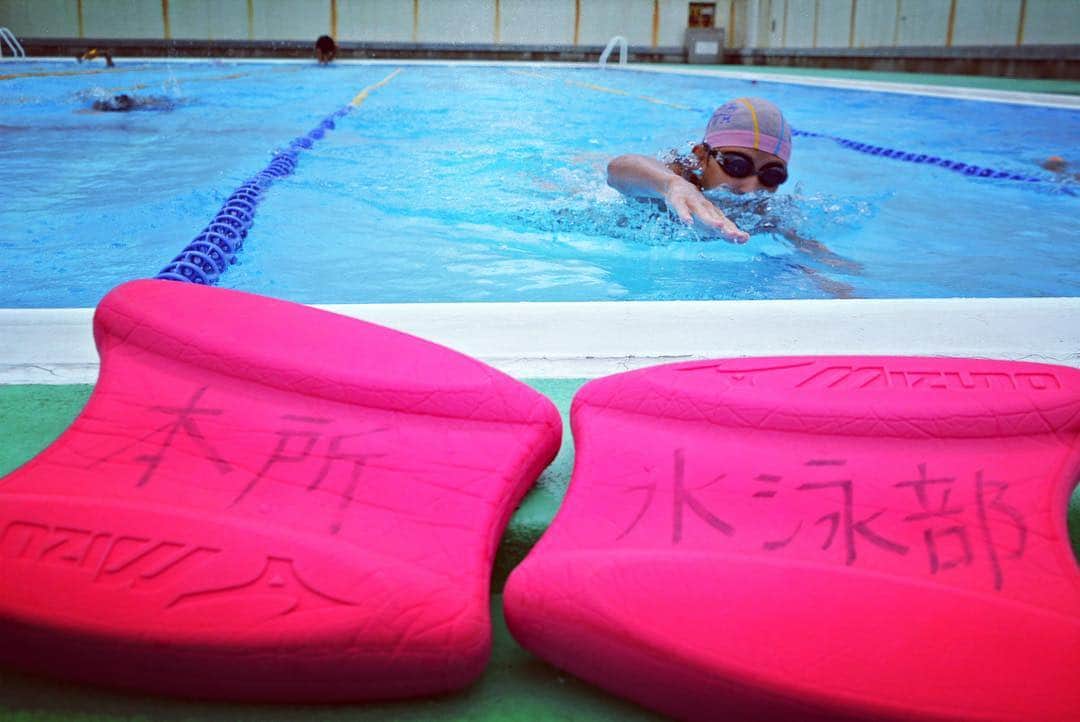 墨田区のインスタグラム