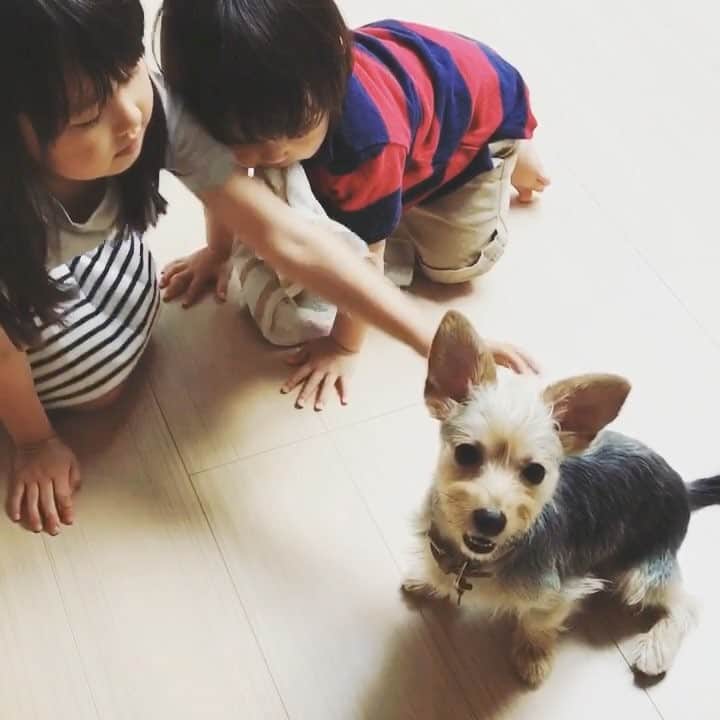 Willy Wonkaのインスタグラム