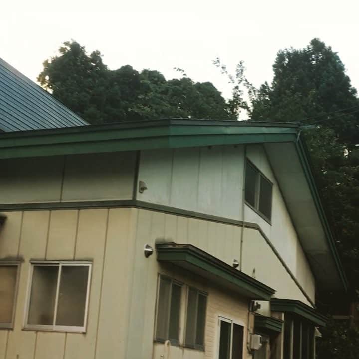 藤岡幹大のインスタグラム：「ヒグラシ🌻」