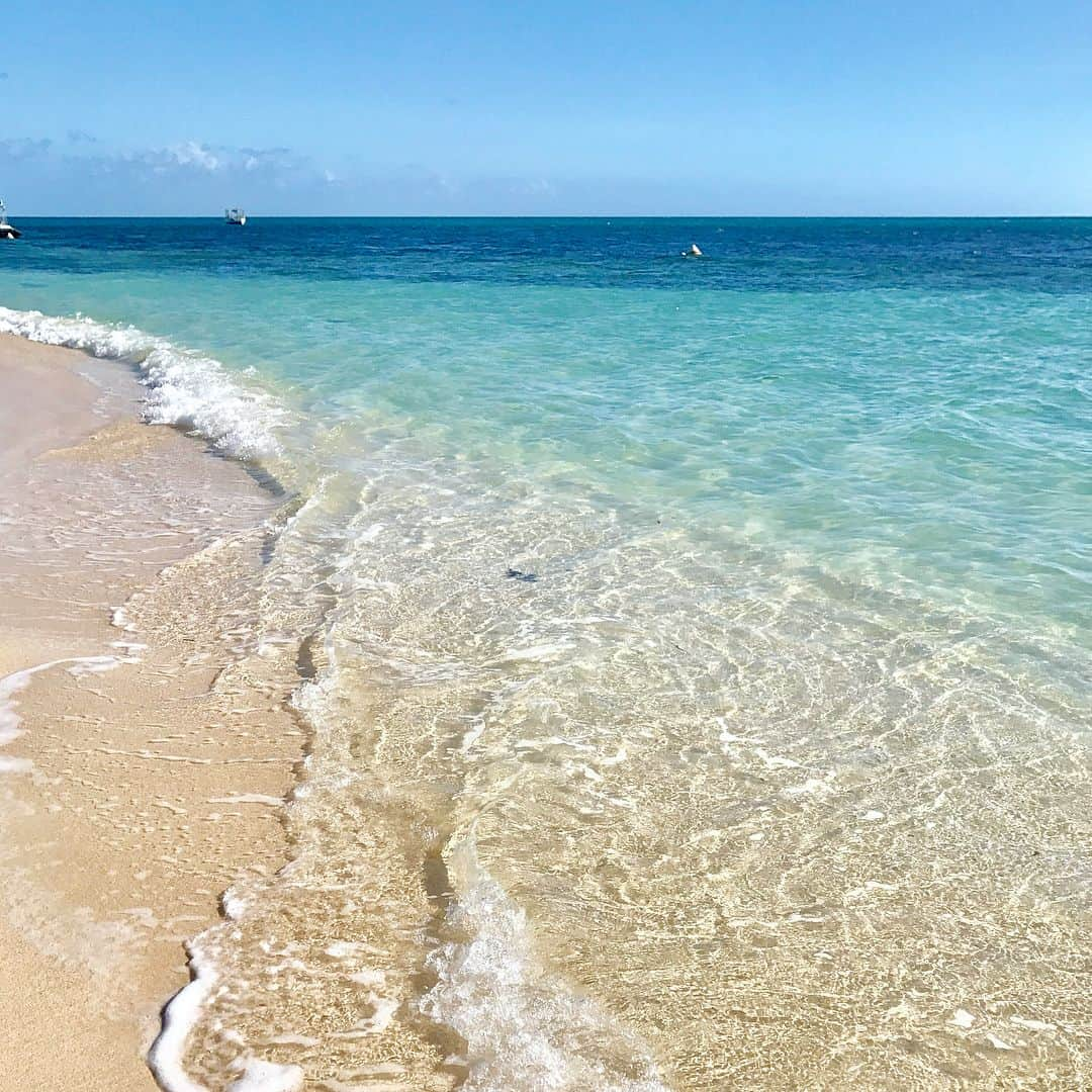 武田紗季さんのインスタグラム写真 - (武田紗季Instagram)「Green Island 🐠🏝 #tbt #snorkeling #Greenisland #ダイビングしたい」7月27日 23時10分 - __sakii.___