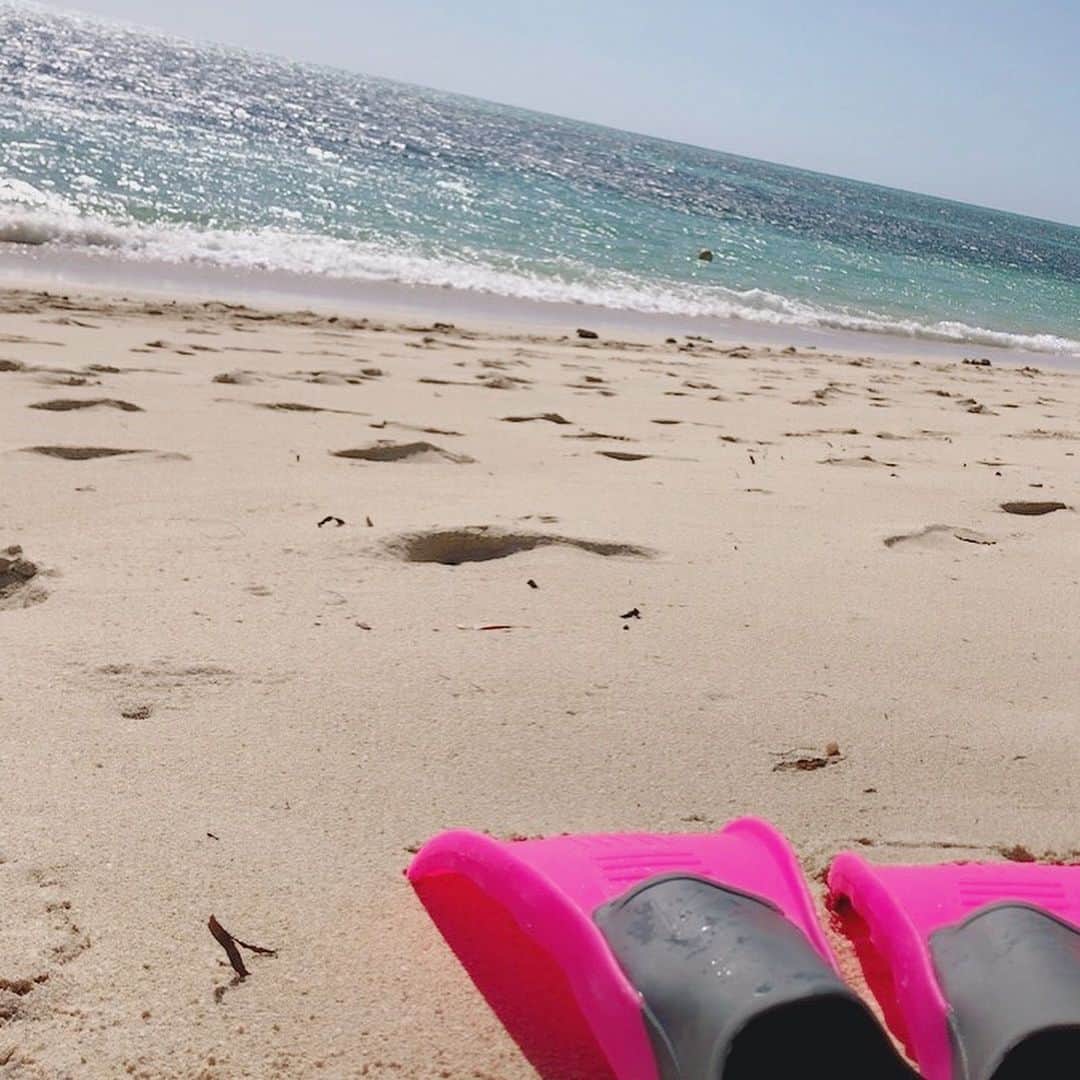 武田紗季さんのインスタグラム写真 - (武田紗季Instagram)「Green Island 🐠🏝 #tbt #snorkeling #Greenisland #ダイビングしたい」7月27日 23時10分 - __sakii.___