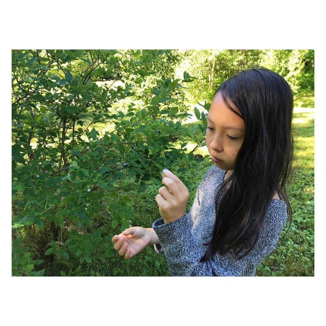 テスギバーソンさんのインスタグラム写真 - (テスギバーソンInstagram)「June picking berries.」7月28日 2時55分 - tessgiberson