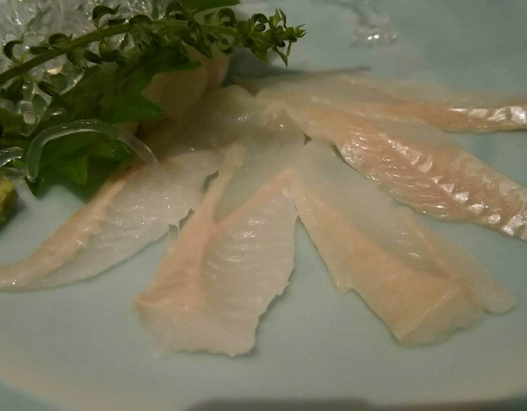 梅田陽子さんのインスタグラム写真 - (梅田陽子Instagram)「あなごのおさしみ。旬のもの、美味しく頂きます。 #あなご #穴子 #アナゴ #旬 #あなごたまい #玉い #たまい #たまいへ行ってからあなごが大好き #お酒すすむ #日本橋 #銀座」7月28日 23時31分 - yokoumeda