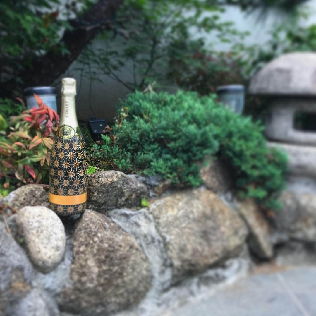 #JACKBOTTLE®︎のインスタグラム
