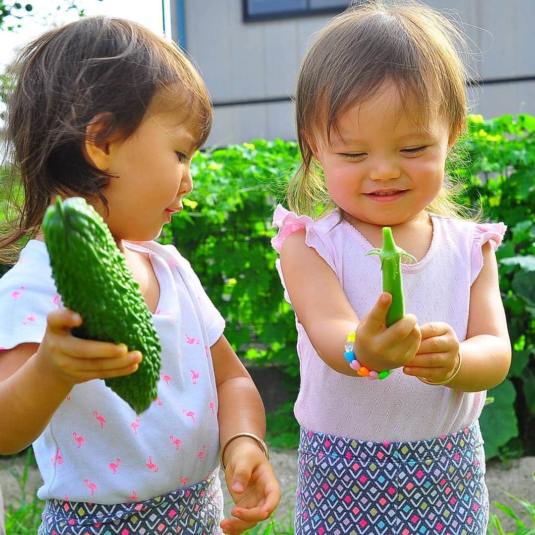 ボビー・ジュードさんのインスタグラム写真 - (ボビー・ジュードInstagram)「畑の野菜、やっと収穫時期をむかえた! 朝からやさいっぱいで　イエイ!  #twins #双子 #育児日記 #国際結婚 #育児 #キッズ #畑 #夏野菜 #福岡 #Japan #fukuokapics #nofilter」7月29日 8時49分 - bobbyjudo