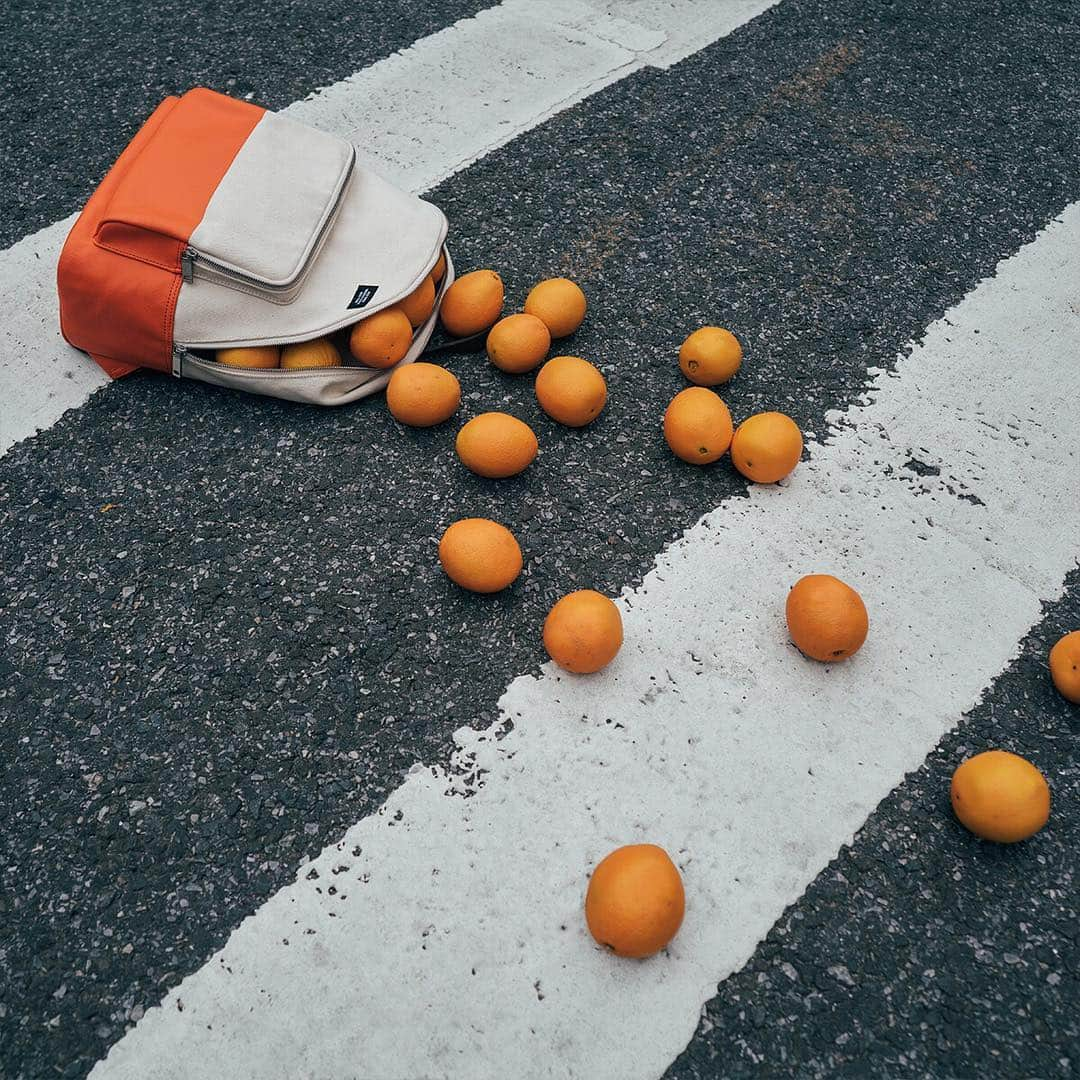 JACK SPADEさんのインスタグラム写真 - (JACK SPADEInstagram)「"What did the oranges say to the backpack before they crossed the street?" #jackspadeny」7月29日 3時34分 - jackspadeny