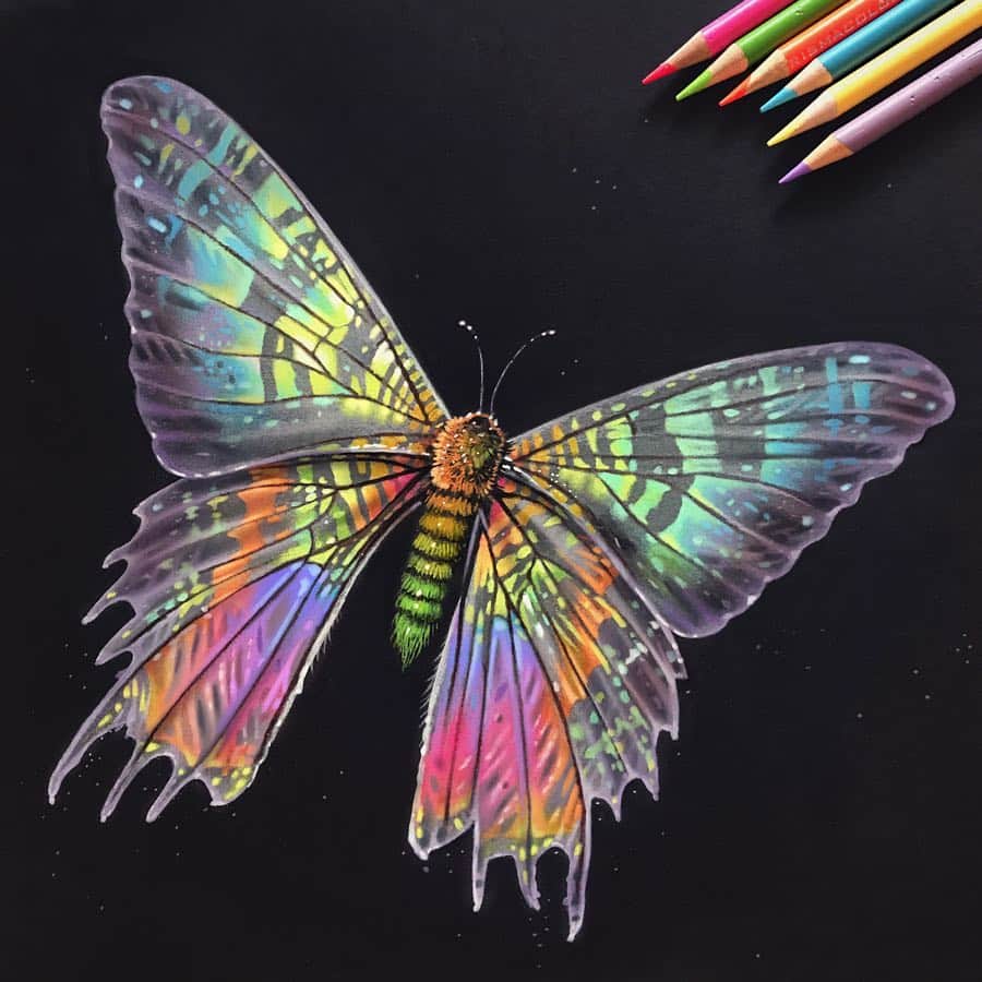 Morgan Davidsonのインスタグラム：「A fun colored pencil study of an iridescent Madagascan sunset moth I did in my free time! 🦋 I'm definitely inspired to add more iridescent/holographic colors in upcoming drawings! 💕 (I can see a portrait in the near future 🔮) I'll definitely post more quick drawings like this. ❤️ I hope you all have an amazing weekend!」