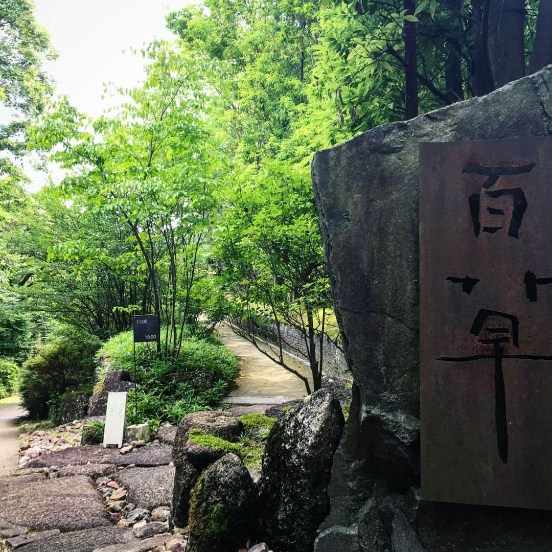 脇田明日香さんのインスタグラム写真 - (脇田明日香Instagram)「岐阜県の多治見にある しっとり落ち着くオススメスポット☕️ 【ギャルリ百草】 森の中で ゆったり時が流れた場所。 * 洗練されたモノが静かに並んでて 凛とした空気。 でも畳の上で寝たくなるくらい 落ち着く雰囲気。 * #岐阜カフェ #ギャルリ百草 #アート #多治見カフェ #ももぐさ」7月29日 20時02分 - asuka_wakita_hasegawa