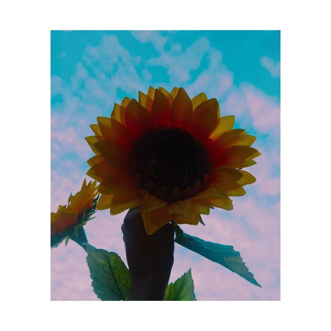 ボラムのインスタグラム：「🌻」