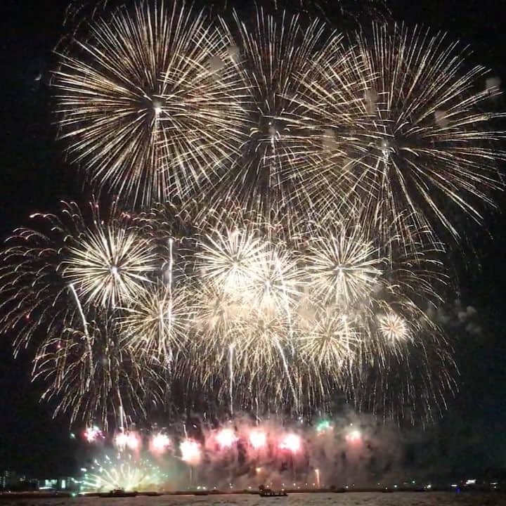 コサのインスタグラム