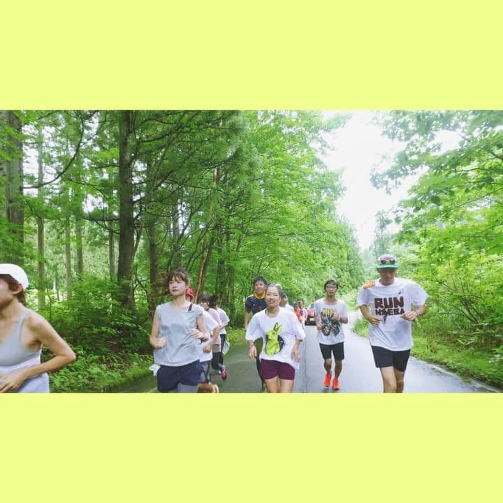 走るひとのインスタグラム：「【フジロックラン】 - フジロックラン2日目終了。苗場の山道を初級・上級に分かれて走りました。なかでも初級コースでは、たくさんの女性参加者が。気持ちのいい朝ランの様子をカメラに収め、会話を楽しみながら賑やかに、フジロックの思い出を増やしました。 - @fujirock_jp @and_mosh  @mobstyles_official  @hashiruhito.jp - - #フジロックラン #FUJIROCK #FUJIROCK2017 #フジロック #フジロック2017 #and_mosh #mobstyles  #走るひと #dji #osmopro」