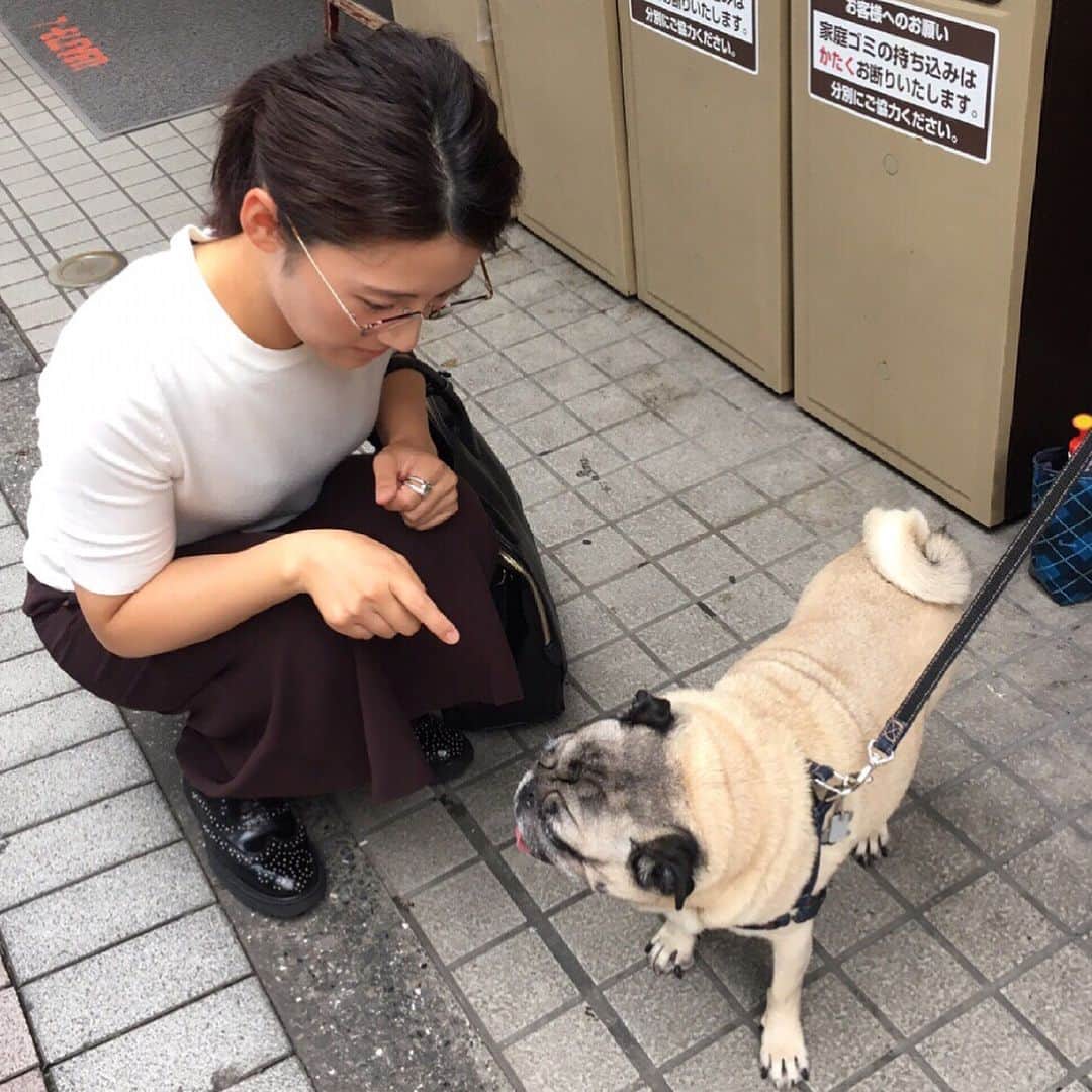 沙羅さんのインスタグラム写真 - (沙羅Instagram)「綾瀬はるか & 長澤まさみデート❤️ 待ち合わせは花笑さん同士だったよ。笑  #綾瀬はるか #長澤まさみ #福田彩乃 #沙羅 #彩乃ちゃんと初めてのデート #たまたま同じ愛知県出身 #お互い変な子だと言い合う #綾瀬ちゃんトークが止まらない #きょうは会社休みます #歩いてたらまもる発見 #インスタライブ見てくれたみんなありがとう」7月31日 12時45分 - sarapika128