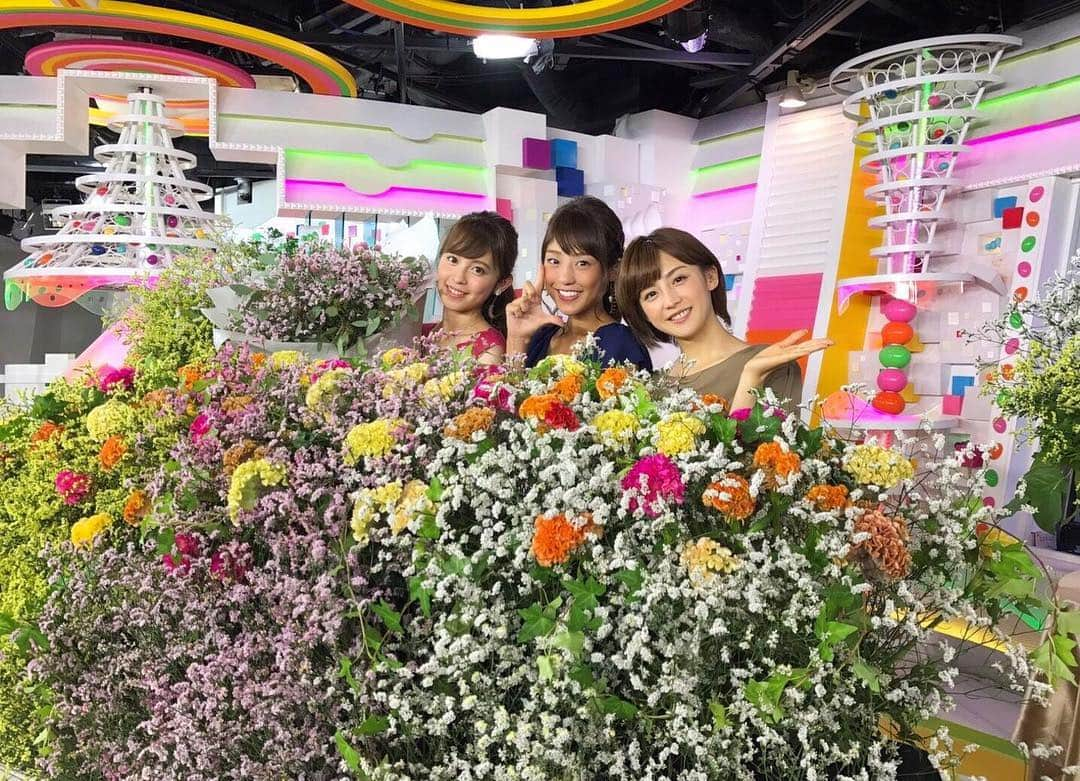 久慈暁子さんのインスタグラム写真 - (久慈暁子Instagram)「* 初めてのお花コーナー💐 今日のお花はスターチス🌻 お花より額が大きいお花で ドライフラワーにしても楽しめるみたいです💐 * #めざましテレビ #お花コーナー #スターチス #flower」7月31日 22時32分 - kuji_akiko