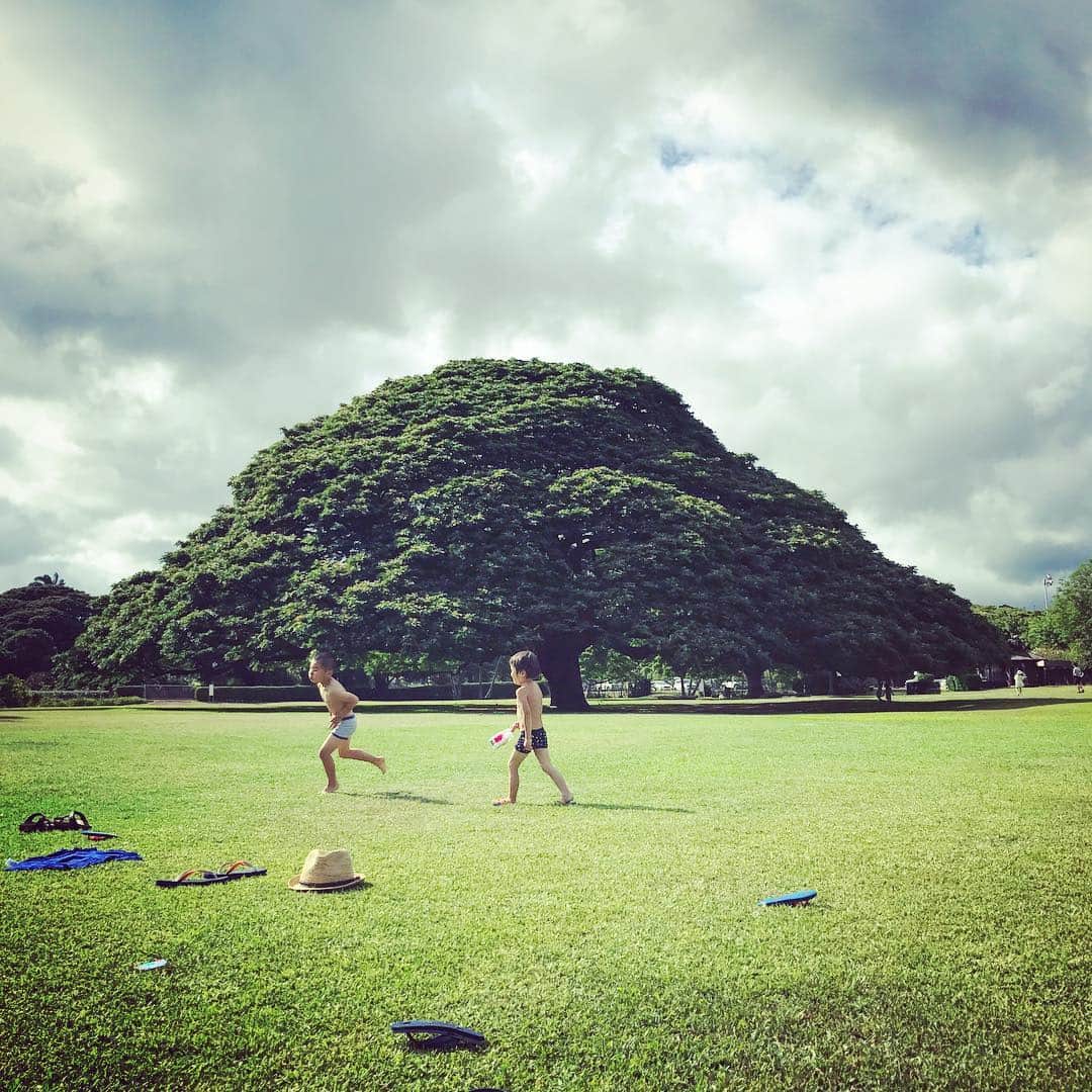 和田明日香さんのインスタグラム写真 - (和田明日香Instagram)「この木なんの木の周りを走り回るパンイチボーイズ。スプリンクラーの水とたわむれてビショビショ！」8月2日 0時30分 - askawada
