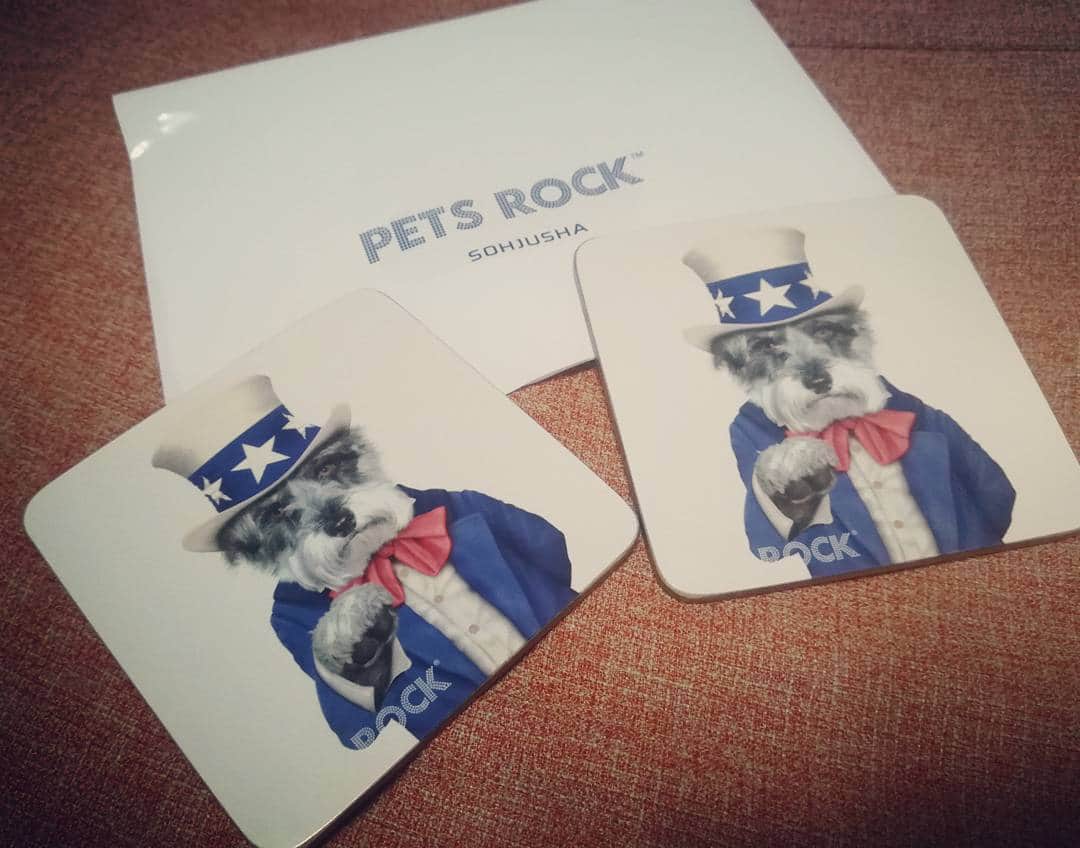 のインスタグラム：「PETS ROCKでコースターget♥️ * めっちゃどれも可愛かったんだけど、やっぱりお気に入りのミニチュアシュナウザーにしました(^-^)🎵 * 今日はBBQの優勝でいける、 🥓しゃぶしゃぶの日🥓 * やばーーーい✨ 楽しみ✨✨✨ * * #petsrock #ミニチュアシュナウザー #dog #cat #cute #shinjuku #tokyo #japan #ペッツロック #コースター #新宿 #東京 #日本 #しゃぶしゃぶ #お肉」