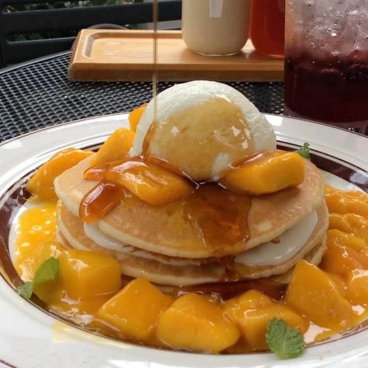 Aiのグルメインスタ