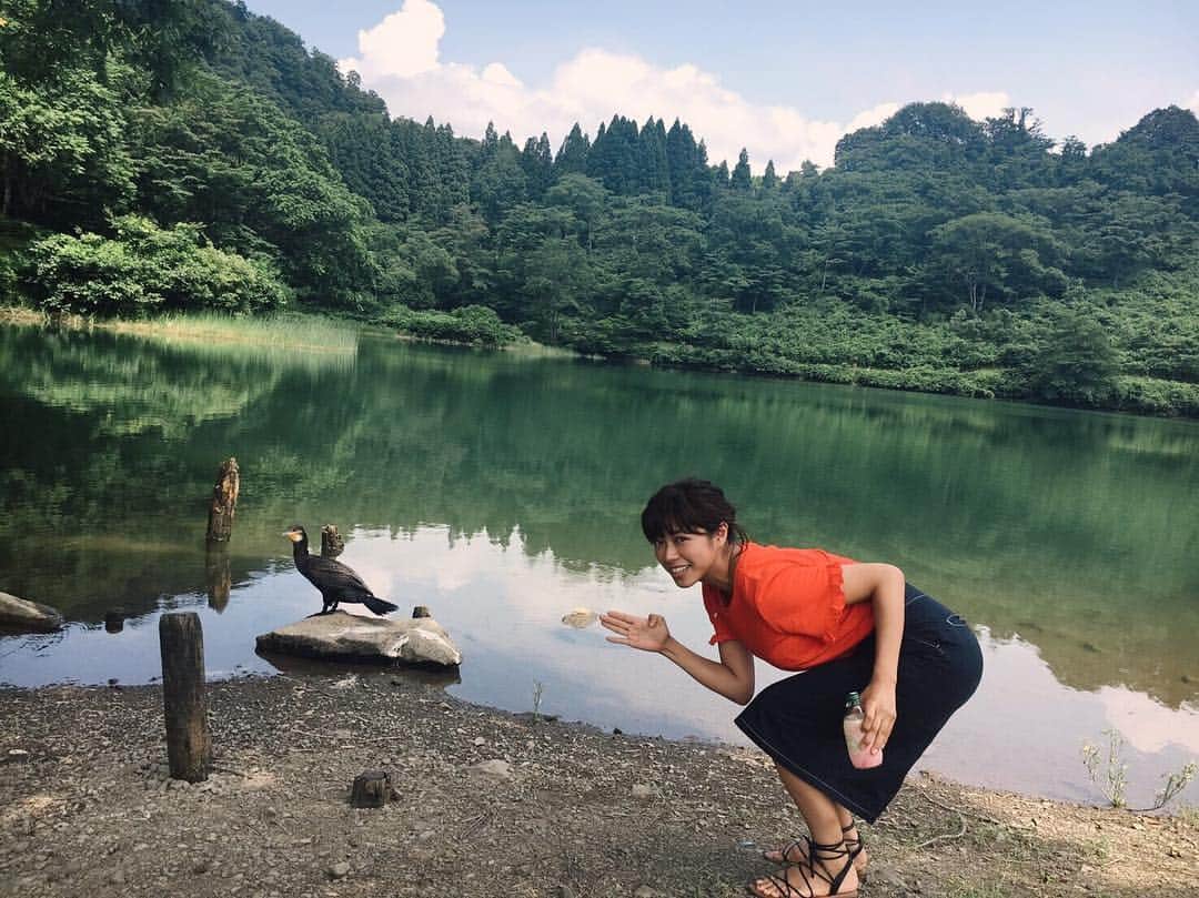 わちみなみのインスタグラム：「やっほー(^o^)❗️ . 新潟に行ったよ😆💕 . そこで出会った鳥❗️ . 珍しい柄じゃない？笑 . 怖がられないようにこっそり歩み寄ったところを友達が撮ってくれたよ(^o^) . この池、3.5メートルの魚がいたらしい🐟売店のお姉さんは、もう死んじゃったと思うって言ってた！笑 いないとわかりながらも探したよ(^o^) . 自然がめちゃくちゃきれい😵😵マチュピチュみたいなところにも行った！！ . また載せるね⭐ . #わちみなみ #新潟 #鳥 #池 #みどり #自然 #海 #鯉 #アウトドア #オレンジ」