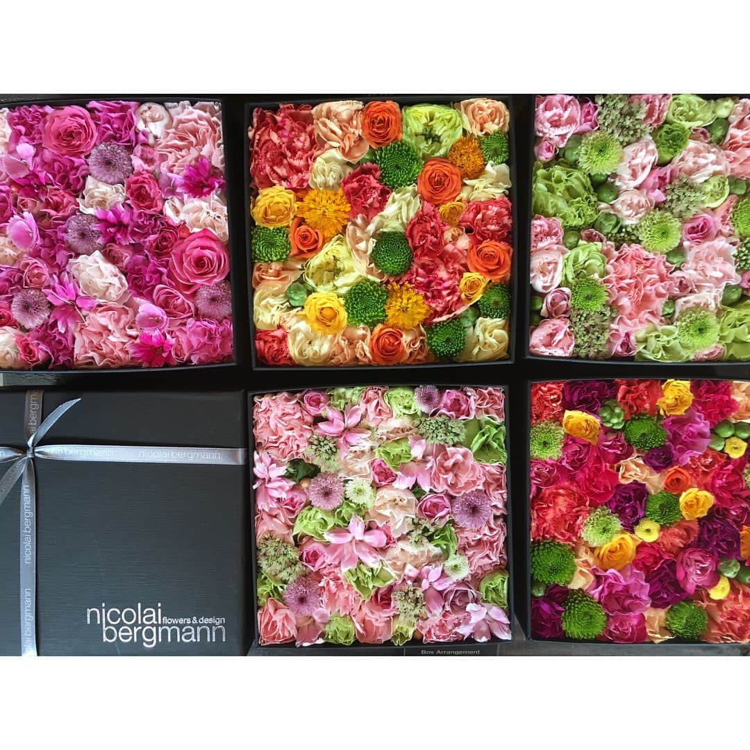 福岡真菜のインスタグラム：「この間も載せましたが🌼💕 いつかこんなお花のプレゼントが似合う女性になりたいな〜と思います☺️💭 #ミスコン #gakushuin #nicolaibergmann #nicolaibergmannnomu #flowerbox」